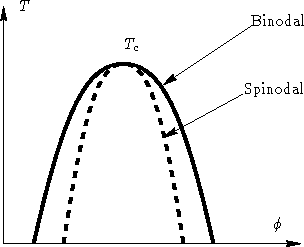 \begin{figure}
 \psfrag{T}{$T$}
 \psfrag{Tc}{$T_c$}
 \psfrag{phi}{$\phi$}
 \psfr...
 ...nodal}
 \psfrag{Spinodal}{Spinodal}
 \includegraphics{phase_diagram}\end{figure}